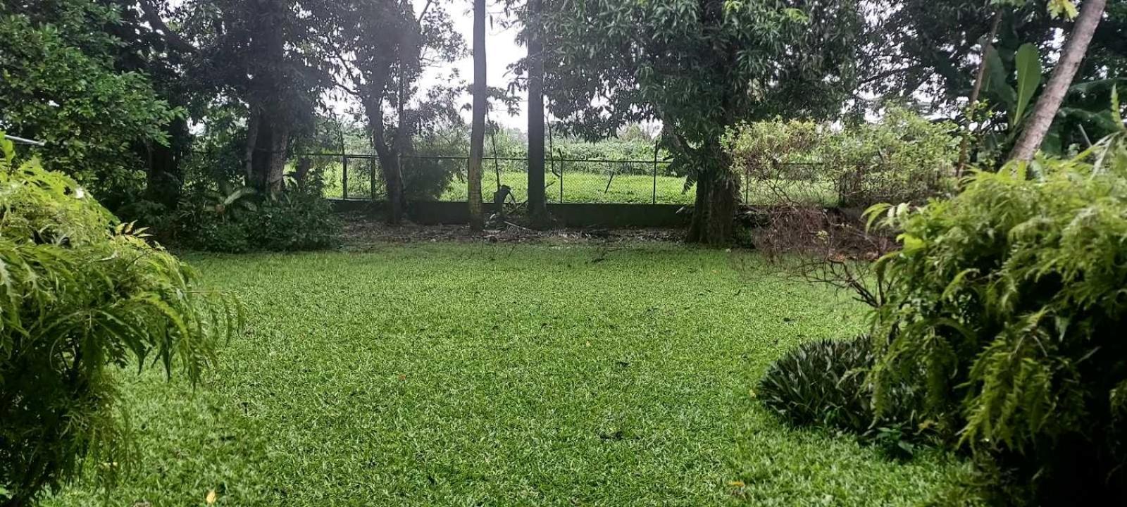 Residence71Nadi Fiji Exteriör bild